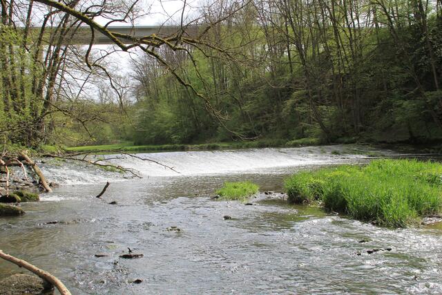 Wehr/ Jagst | Foto: Ralf Röser