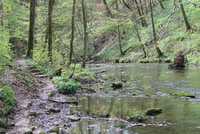 da weiter | Foto: Ralf Röser