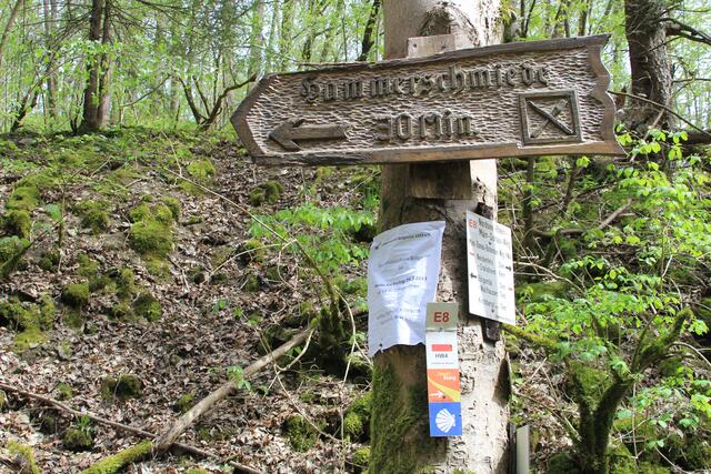 Info | Foto: Ralf Röser