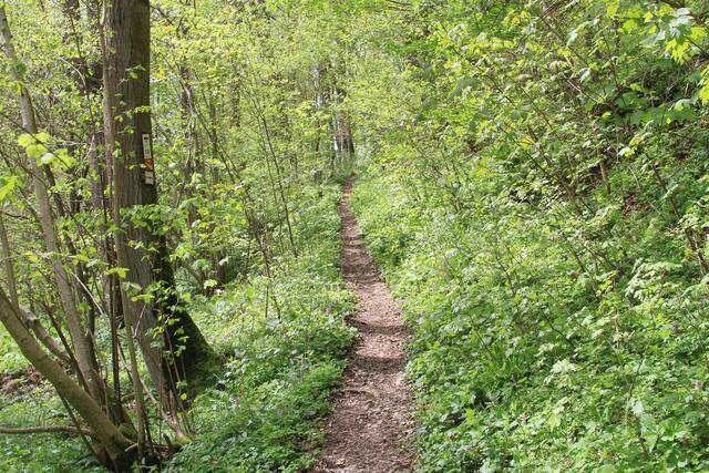 da rauf | Foto: Ralf Röser