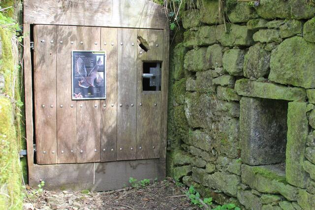 wow | Foto: Ralf Röser