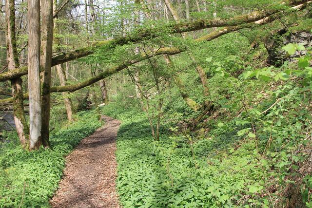 da lang | Foto: Ralf Röser