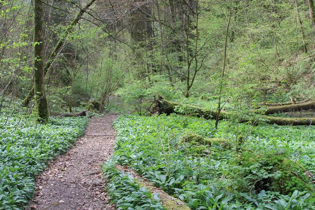 und weiter | Foto: Ralf Röser