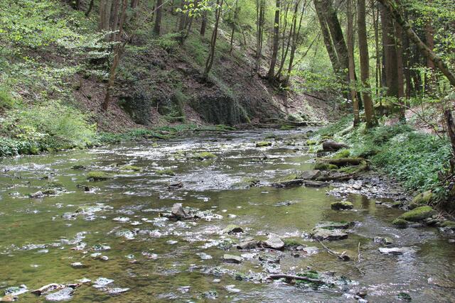 Gronach | Foto: Ralf Röser