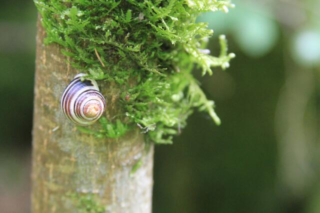 angedockt | Foto: Ralf Röser