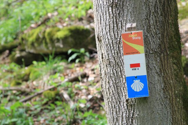 Info | Foto: Ralf Röser