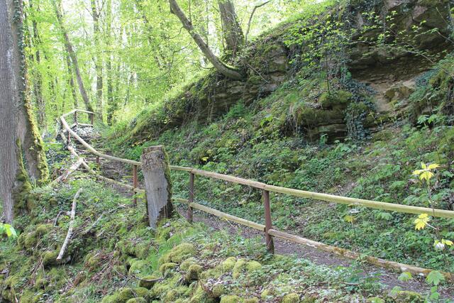 da mal kurz rausgeschaut, dann aber wieder zurück | Foto: Ralf Röser