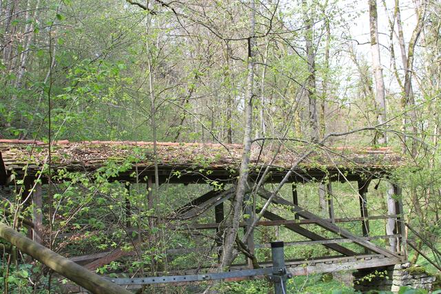 alt | Foto: Ralf Röser