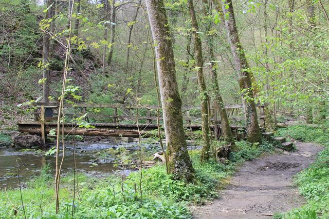 die isch hi | Foto: Ralf Röser