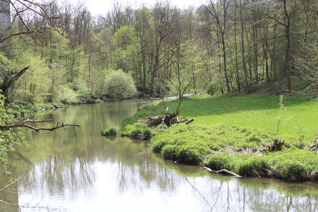 Jagst | Foto: Ralf Röser