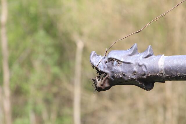 ist das cool | Foto: Ralf Röser