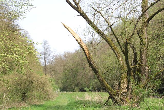 und wieder zurück | Foto: Ralf Röser