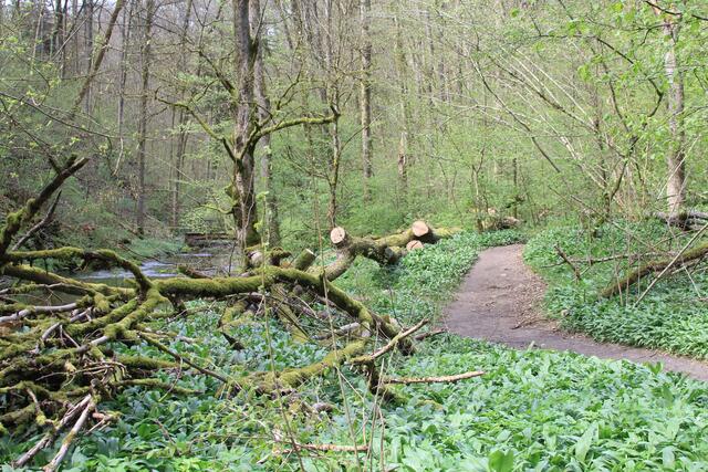 da lang | Foto: Ralf Röser