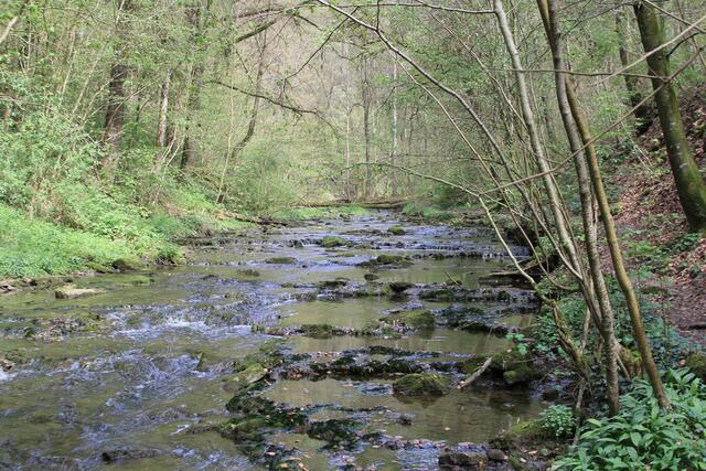 ohne Worte | Foto: Ralf Röser