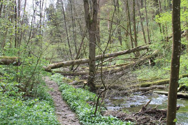 und weiter | Foto: Ralf Röser