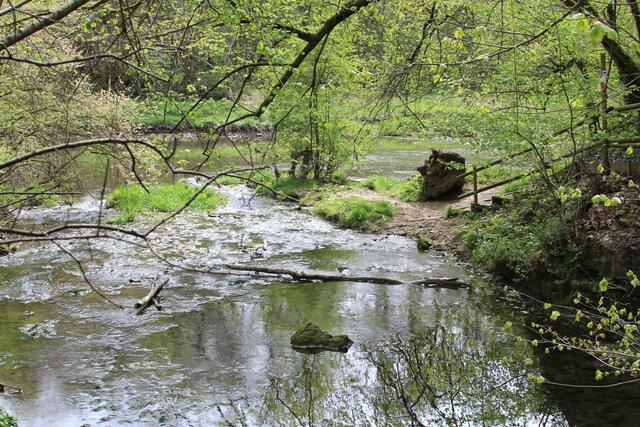 da fließt die Gronach in die Jagst | Foto: Ralf Röser