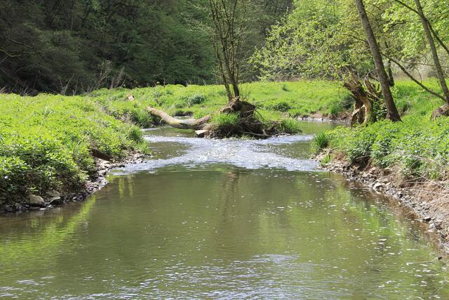 toll | Foto: Ralf Röser