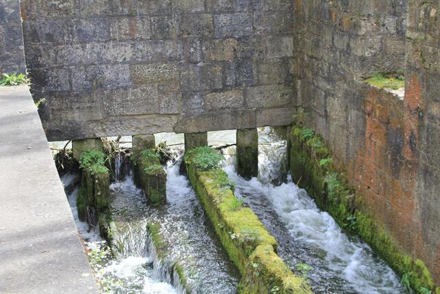 sehr alt | Foto: Ralf Röser