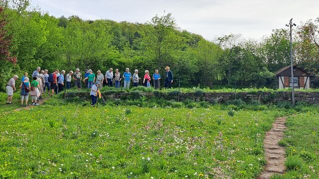 Bei der Blumenwiese mit über 150 verschiedenen Blumen | Foto: Manfred Schaaf