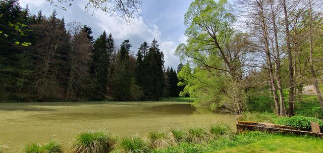 Foto: privat Sibylle Tröber