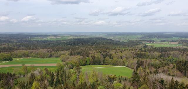 Foto: privat Sibylle Tröber