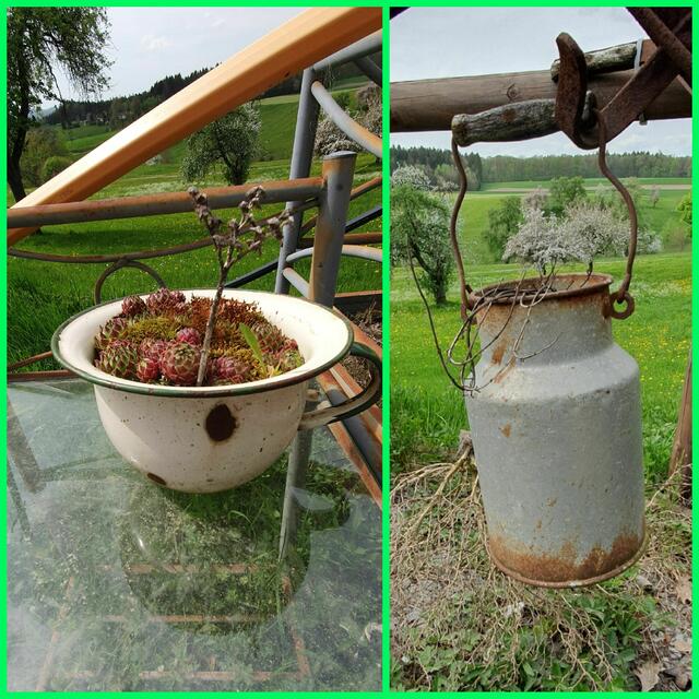 Foto: privat Sibylle Tröber