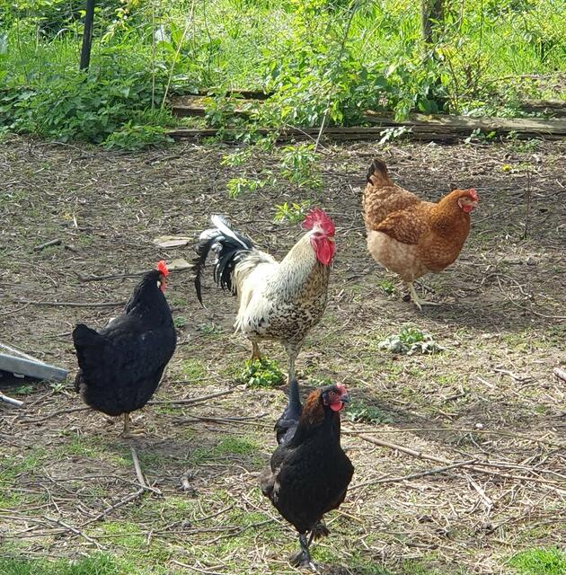 Foto: privat Sibylle Tröber