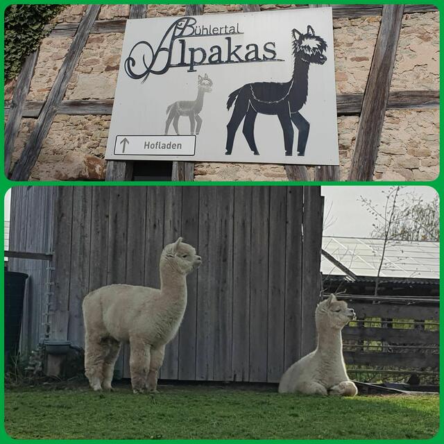 Foto: privat Sibylle Tröber