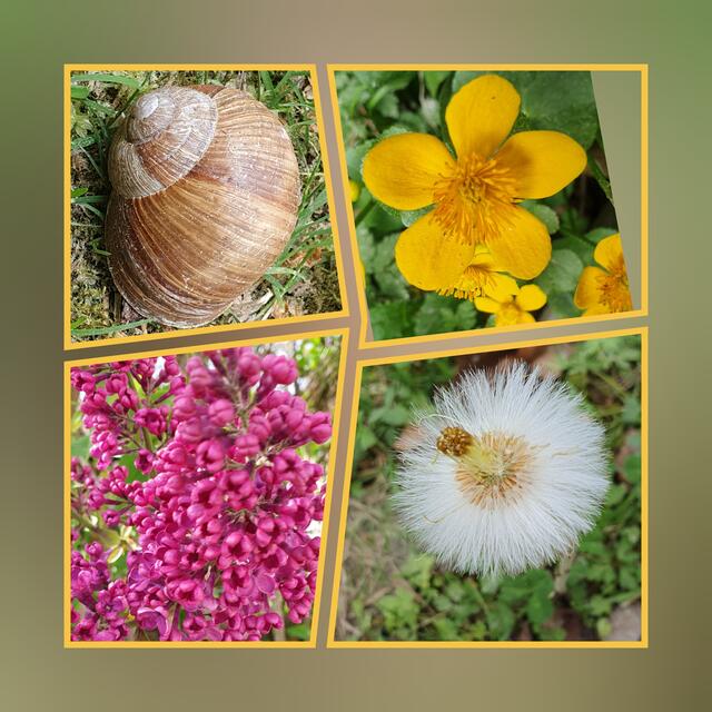 Foto: privat Sibylle Tröber