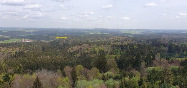 Foto: privat Sibylle Tröber