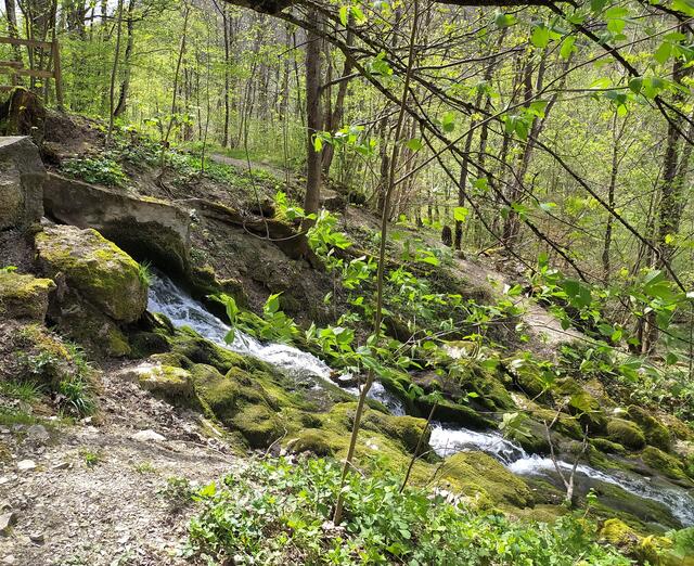 Ein kleiner Wasserfall.  | Foto: sigischlottke