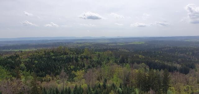 Foto: privat Sibylle Tröber