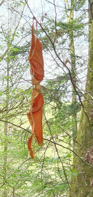 Foto: privat Sibylle Tröber