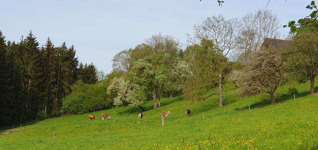 Foto: privat Sibylle Tröber