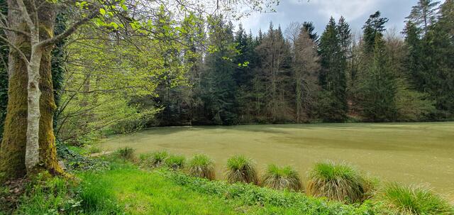 Foto: privat Sibylle Tröber