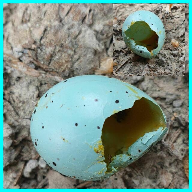 Foto: privat Sibylle Tröber