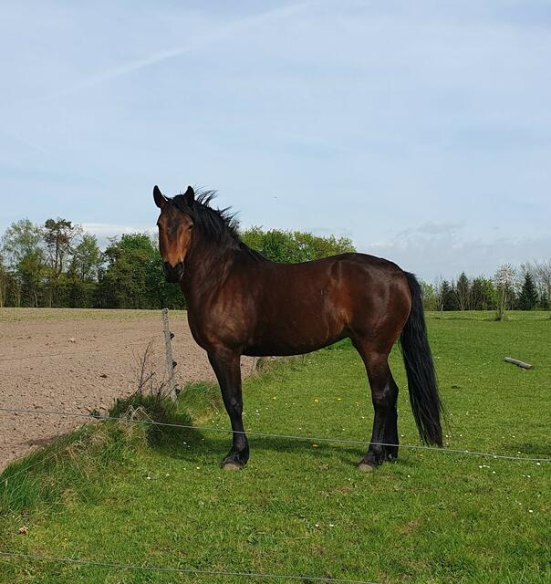 Foto: privat Sibylle Tröber