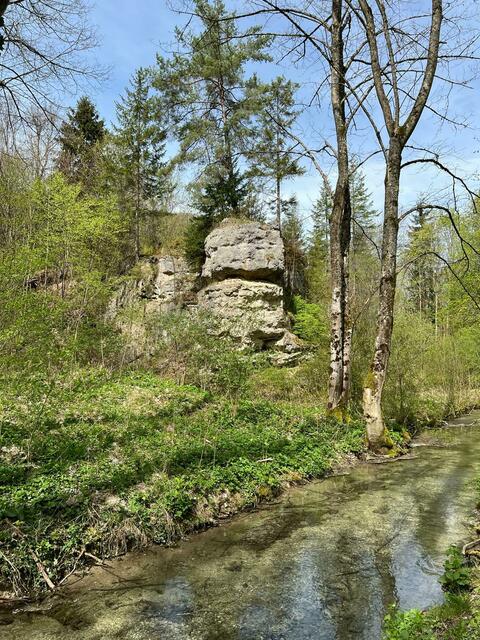 Auch Felsen gibt's hier.  | Foto: Ulrich Buckenmayer