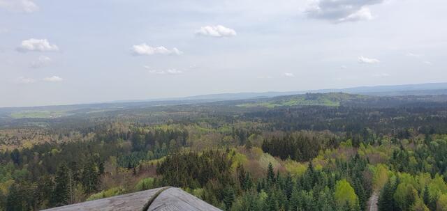 Foto: privat Sibylle Tröber