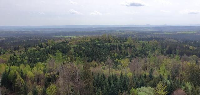 Foto: privat Sibylle Tröber