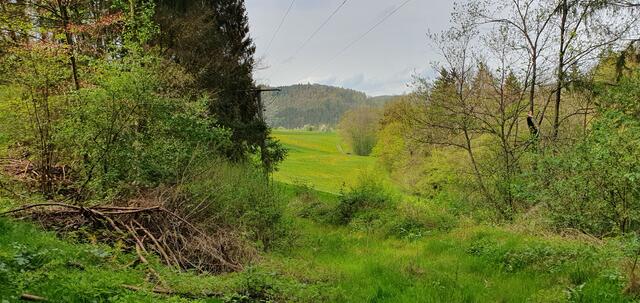 Foto: privat Sibylle Tröber
