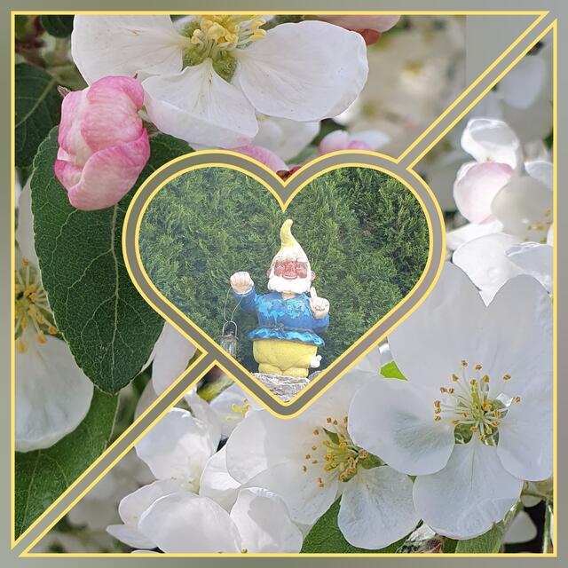 Foto: privat Sibylle Tröber