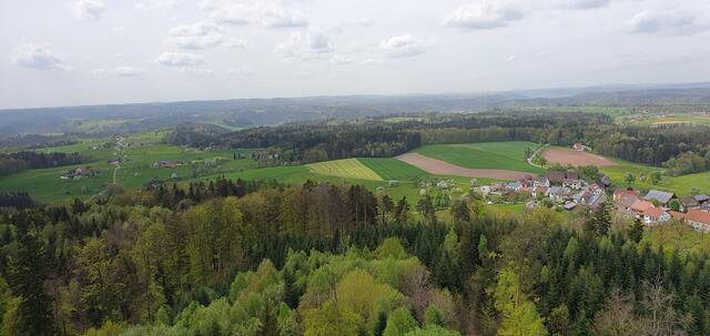 Foto: privat Sibylle Tröber