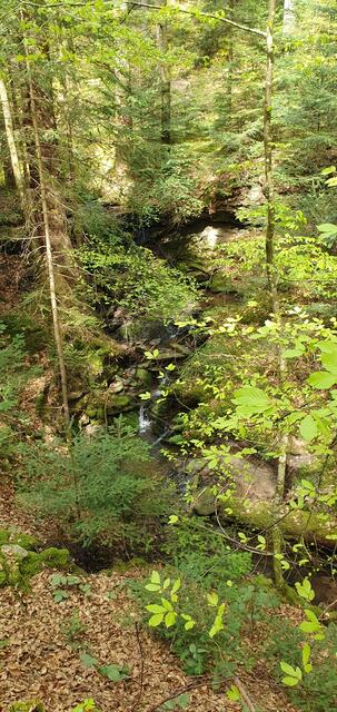 Foto: privat Sibylle Tröber