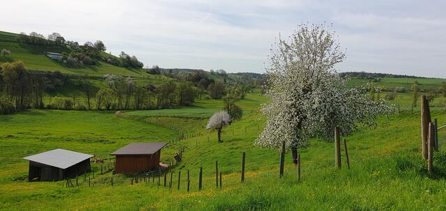 Foto: privat Sibylle Tröber