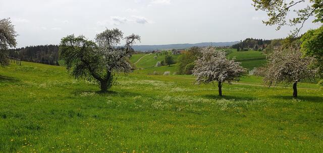 Foto: privat Sibylle Tröber