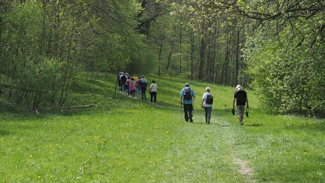 Über weiche Wiesenwege laufen wir in den Wald.  | Foto: Rainer Göser