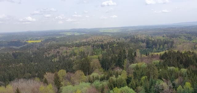 Foto: privat Sibylle Tröber