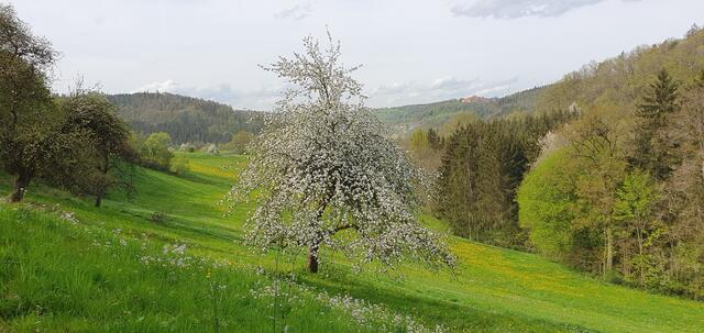 Foto: privat Sibylle Tröber