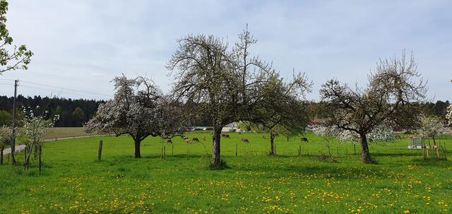 Foto: privat Sibylle Tröber